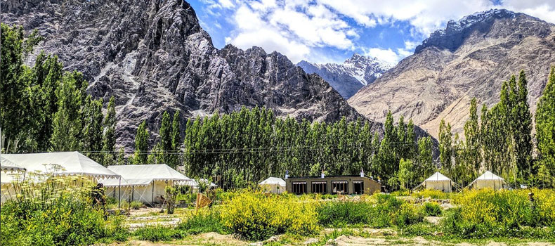 Camps in Nubra Valley