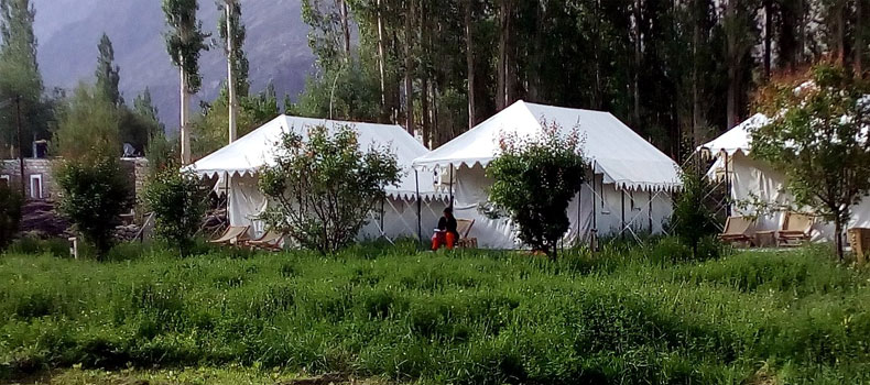 Camps in Nubra Valley