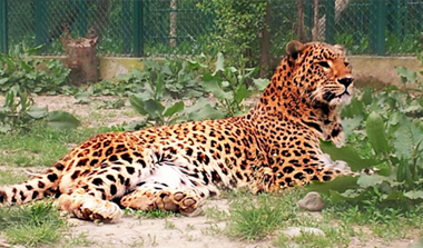 Kashmir Tourist Destinations