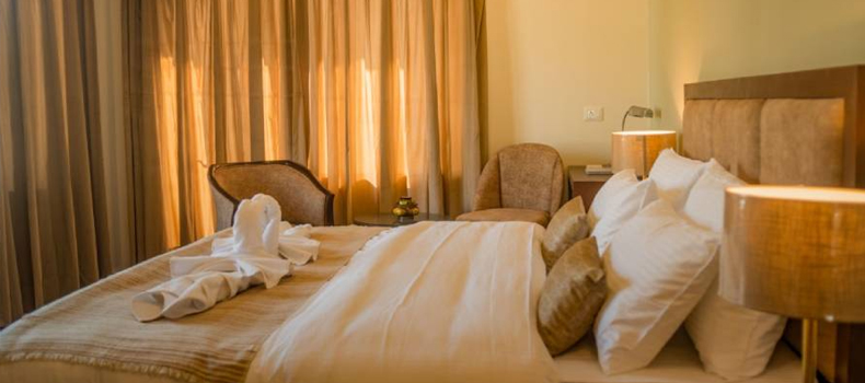 Deluxe Hotels In Ladakh