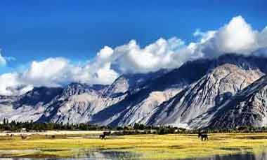Ladakh Tour Packages in Lehladakhtourism.com