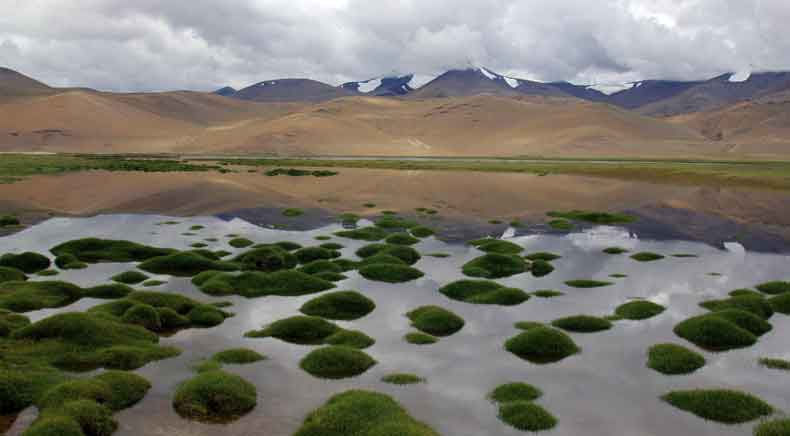 Ladakh tour packages