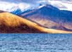 Pangong Lake Leh Ladakh 