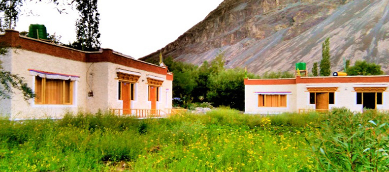Camps In Ladakh