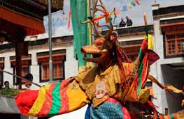 Ladakh Festival
