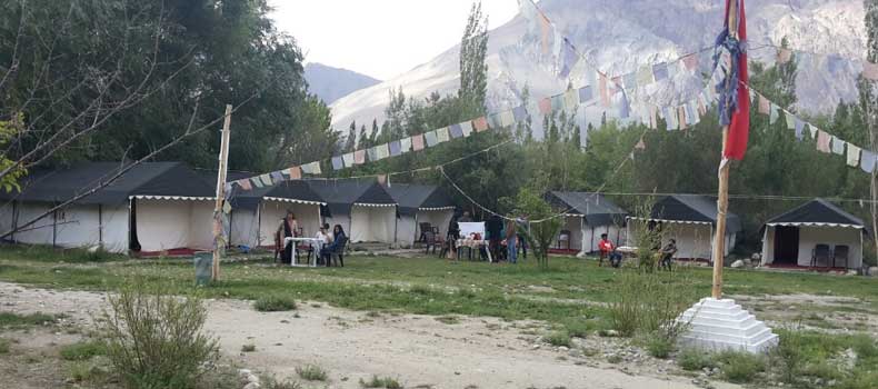 Camps In Ladakh