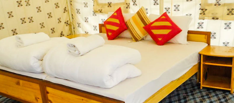 Camps in Nubra Valley