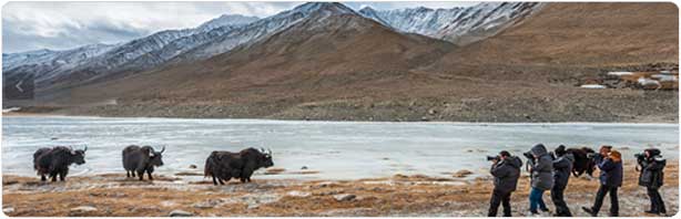 Ladakh Winter Tour Packages