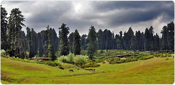 Kashmir Destinations