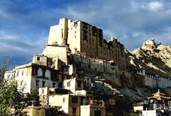 leh palace ladakh packages